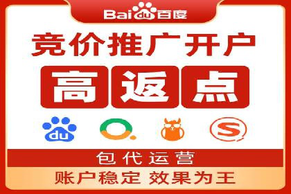百度竞价推广成功案例解析